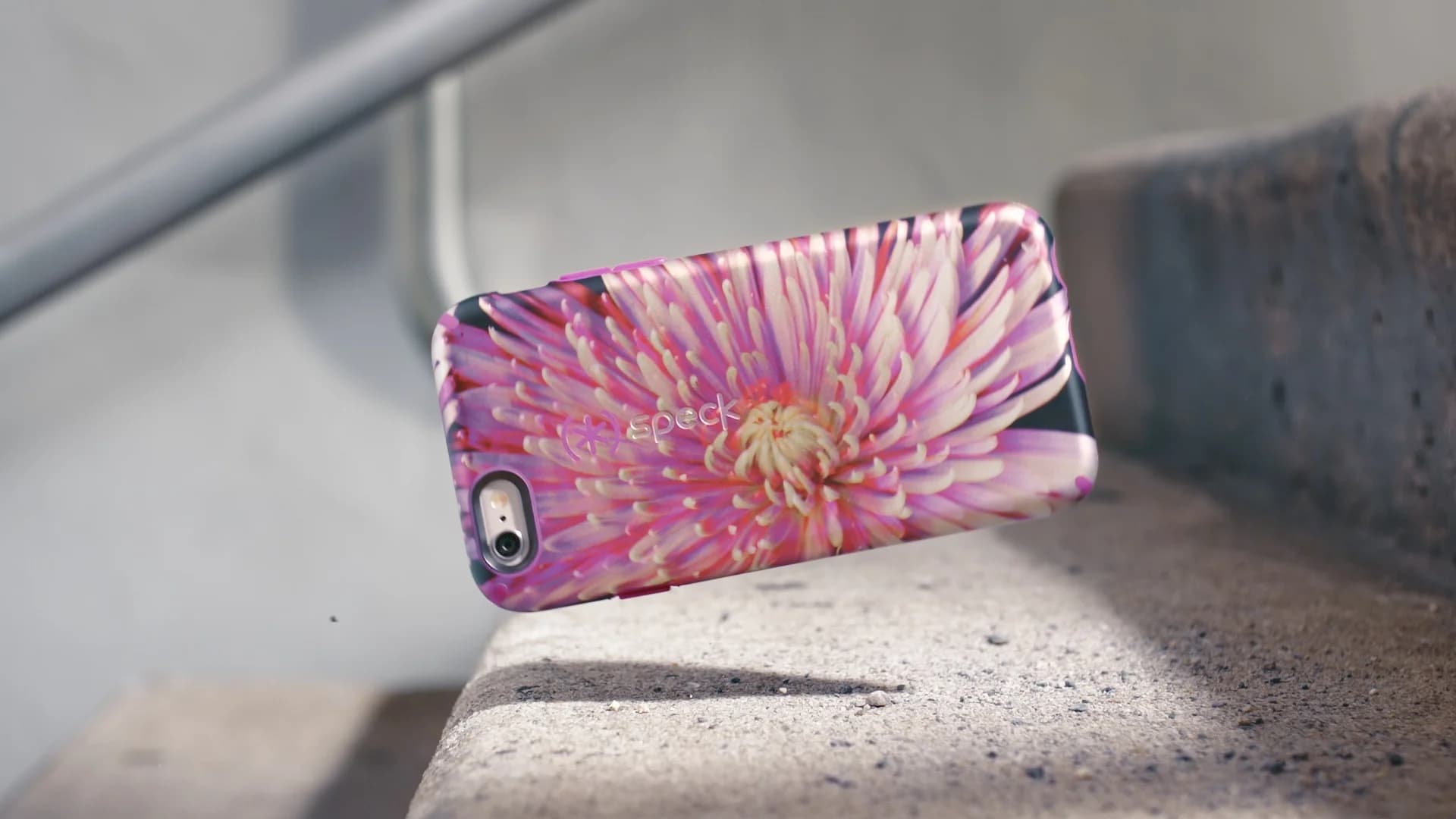 Speck | Beautiful Flight