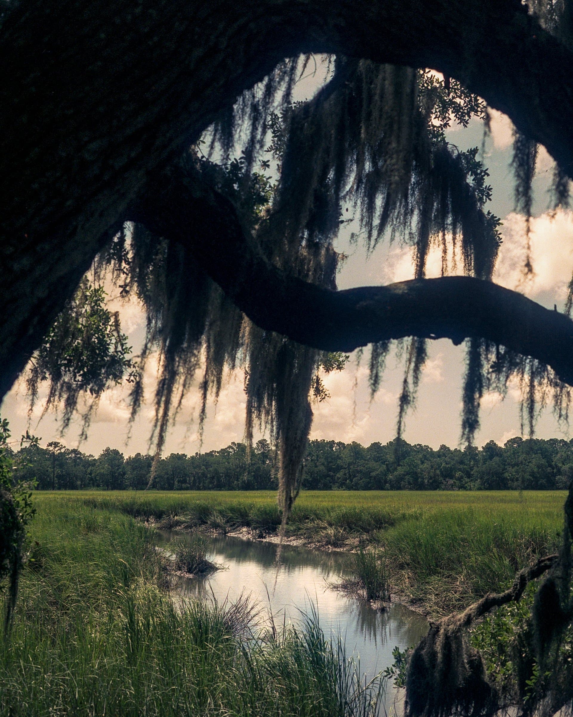Lowcountry
